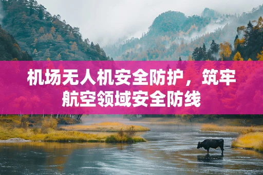 机场无人机安全防护，筑牢航空领域安全防线