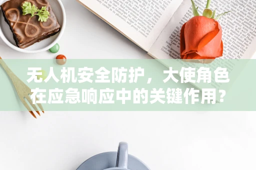 无人机安全防护，大使角色在应急响应中的关键作用？