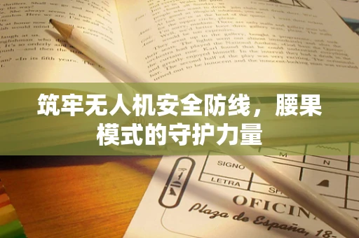 筑牢无人机安全防线，腰果模式的守护力量
