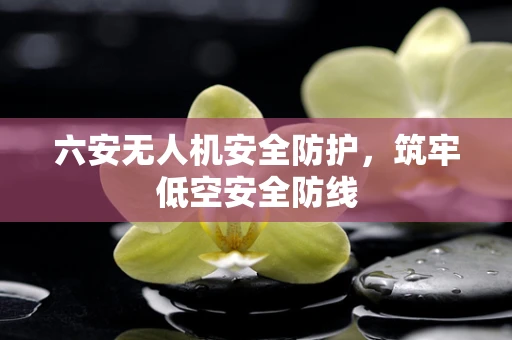 六安无人机安全防护，筑牢低空安全防线