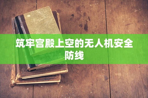 筑牢宫殿上空的无人机安全防线
