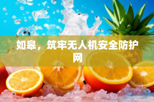 如皋，筑牢无人机安全防护网