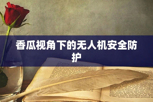 香瓜视角下的无人机安全防护
