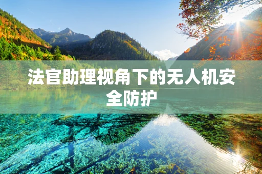 法官助理视角下的无人机安全防护