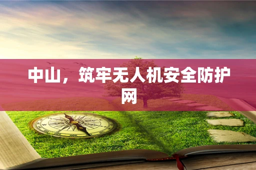 中山，筑牢无人机安全防护网