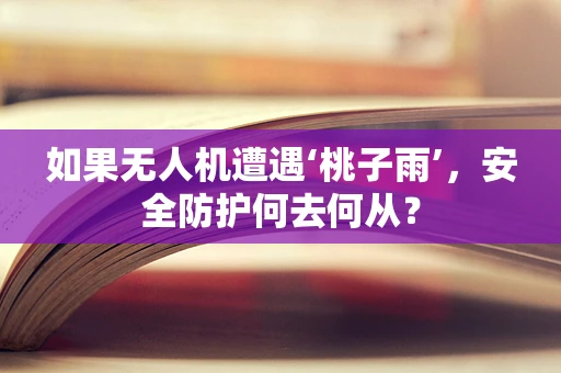如果无人机遭遇‘桃子雨’，安全防护何去何从？