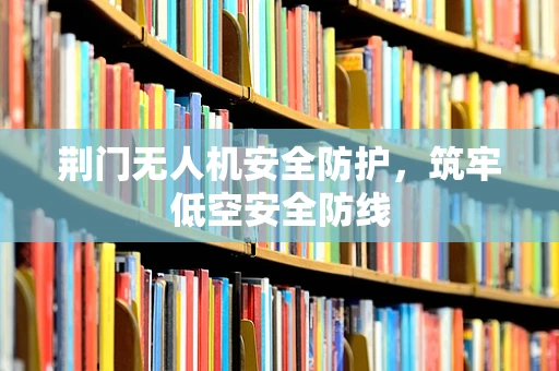 荆门无人机安全防护，筑牢低空安全防线