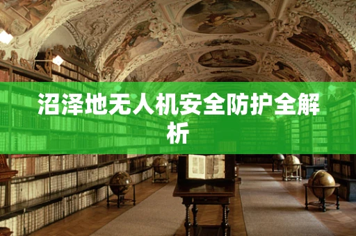 沼泽地无人机安全防护全解析