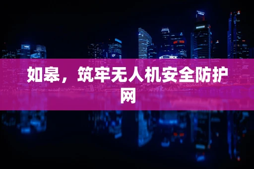 如皋，筑牢无人机安全防护网