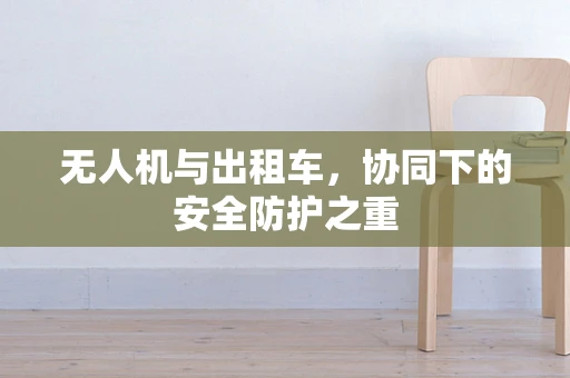 无人机与出租车，协同下的安全防护之重