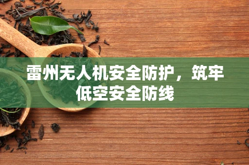 雷州无人机安全防护，筑牢低空安全防线
