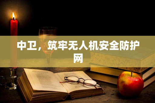 中卫，筑牢无人机安全防护网