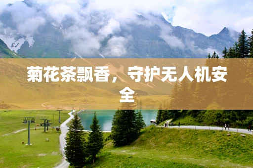 菊花茶飘香，守护无人机安全