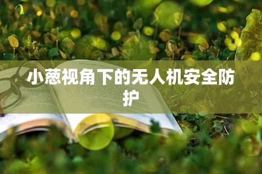 小葱视角下的无人机安全防护