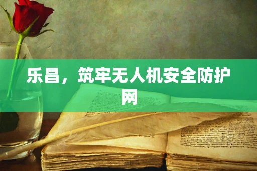 乐昌，筑牢无人机安全防护网