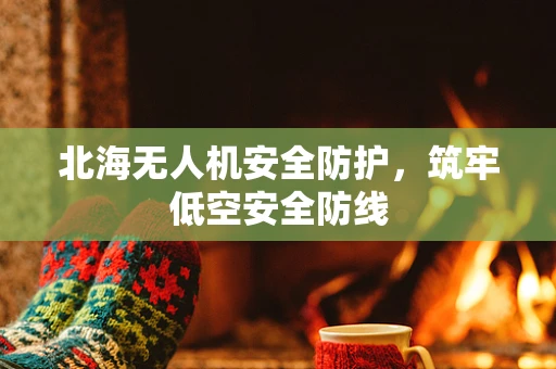 北海无人机安全防护，筑牢低空安全防线