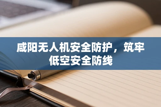 咸阳无人机安全防护，筑牢低空安全防线