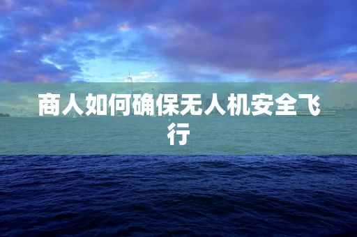商人如何确保无人机安全飞行