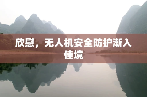 欣慰，无人机安全防护渐入佳境