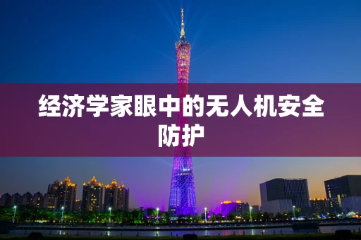 经济学家眼中的无人机安全防护