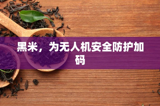 黑米，为无人机安全防护加码