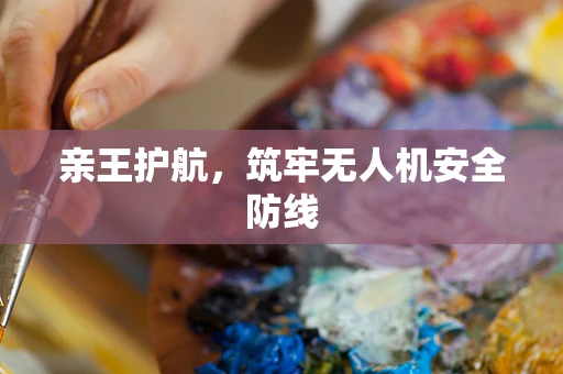 亲王护航，筑牢无人机安全防线