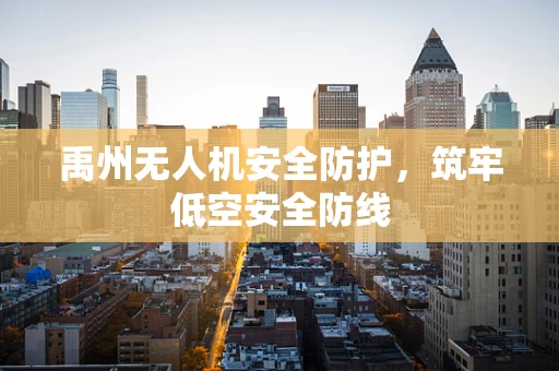 禹州无人机安全防护，筑牢低空安全防线