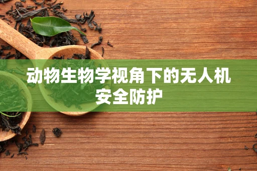 动物生物学视角下的无人机安全防护