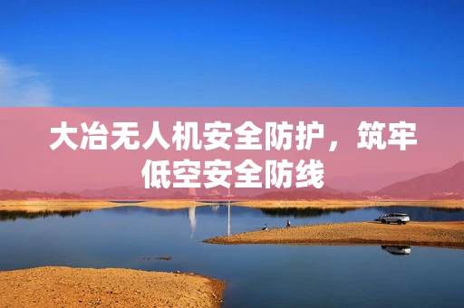 大冶无人机安全防护，筑牢低空安全防线