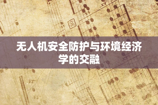 无人机安全防护与环境经济学的交融