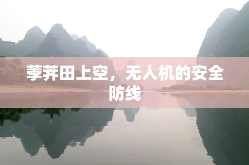 荸荠田上空，无人机的安全防线