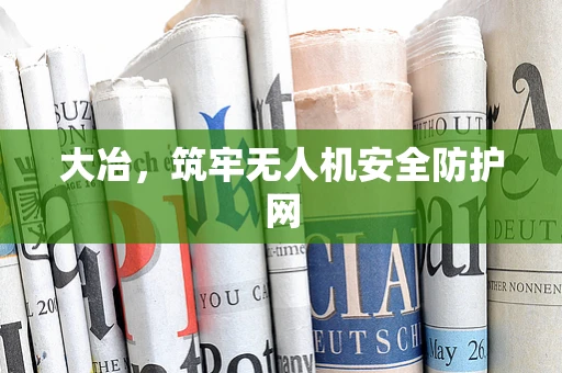 大冶，筑牢无人机安全防护网