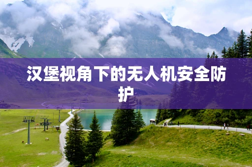 汉堡视角下的无人机安全防护