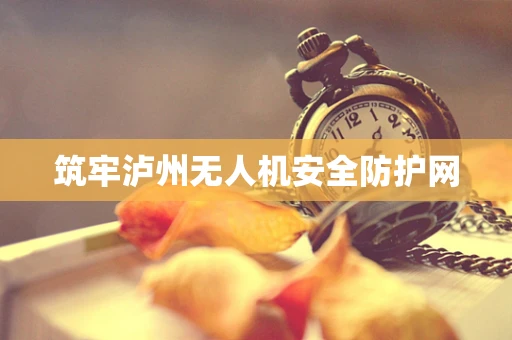 筑牢泸州无人机安全防护网