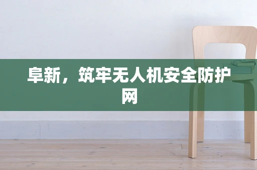 阜新，筑牢无人机安全防护网