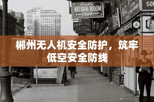 郴州无人机安全防护，筑牢低空安全防线