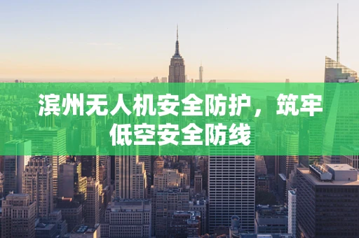 滨州无人机安全防护，筑牢低空安全防线