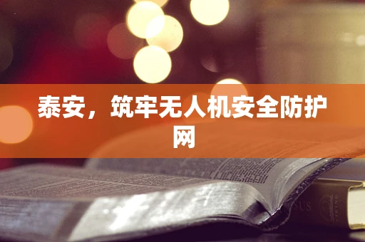 泰安，筑牢无人机安全防护网