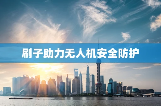 刷子助力无人机安全防护