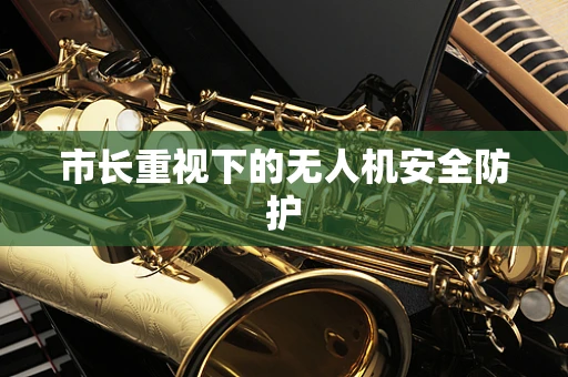 市长重视下的无人机安全防护