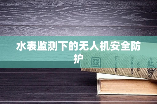 水表监测下的无人机安全防护
