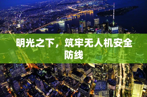 明光之下，筑牢无人机安全防线