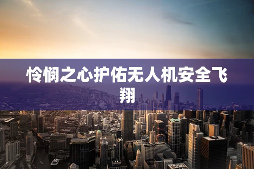 怜悯之心护佑无人机安全飞翔