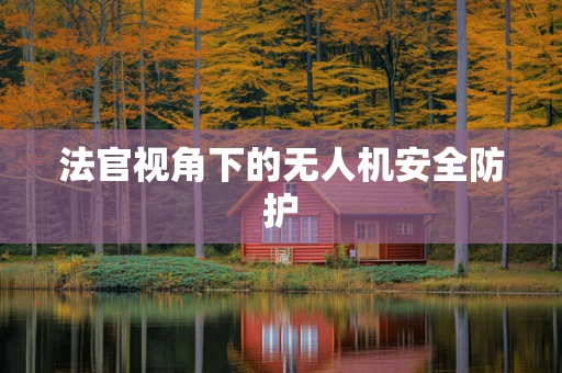 法官视角下的无人机安全防护