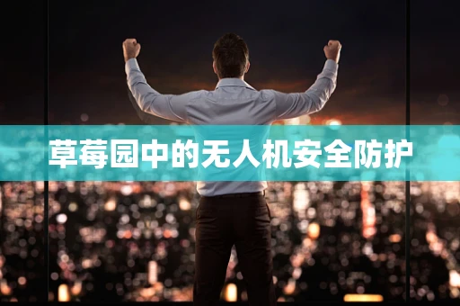 草莓园中的无人机安全防护