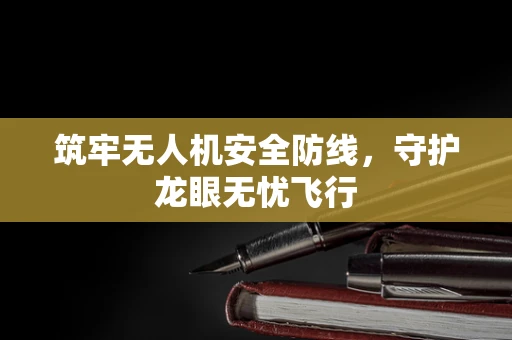 筑牢无人机安全防线，守护龙眼无忧飞行