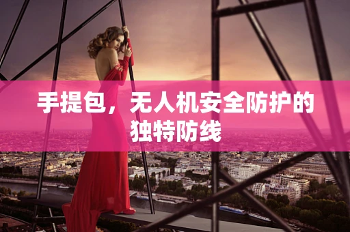 手提包，无人机安全防护的独特防线