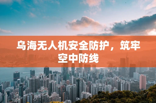 乌海无人机安全防护，筑牢空中防线