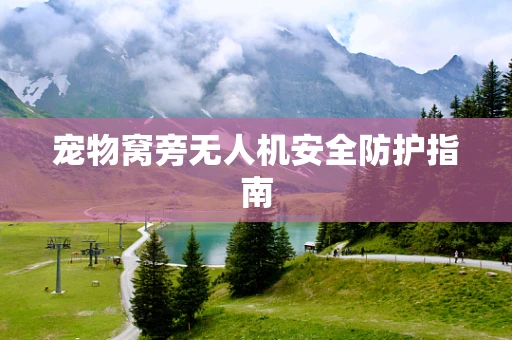 宠物窝旁无人机安全防护指南