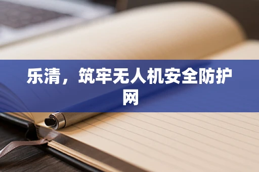 乐清，筑牢无人机安全防护网